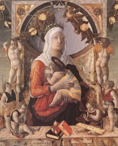 The Virgin and Child Surrounded by Eight Angels (mk05), Marco Zoppo